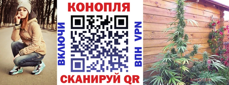 Купить закладки  Задонск  Конопля индика 